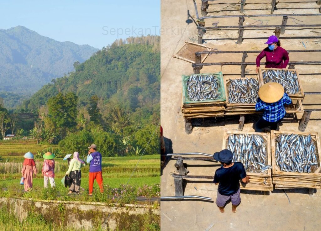 Petani dan Nelayan Nunukan Siap Mengikuti PENAS di Provinsi Gorontalo - SepekanTerkini.com